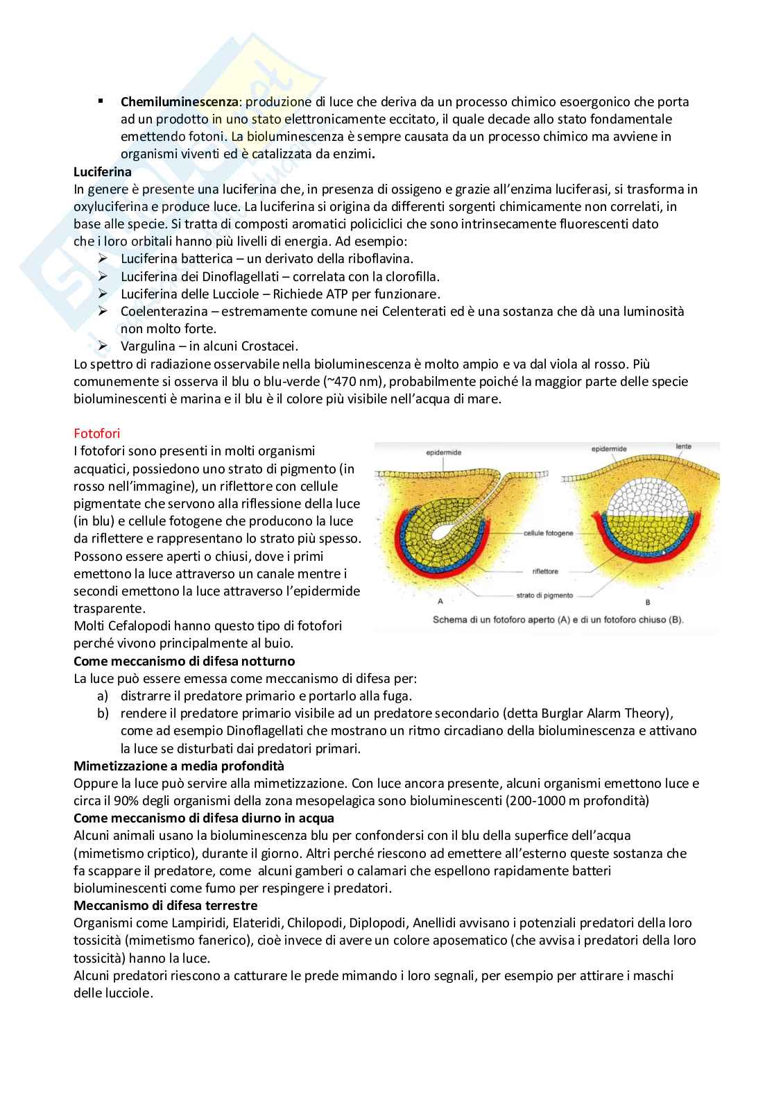 Zoologia generale Pag. 66