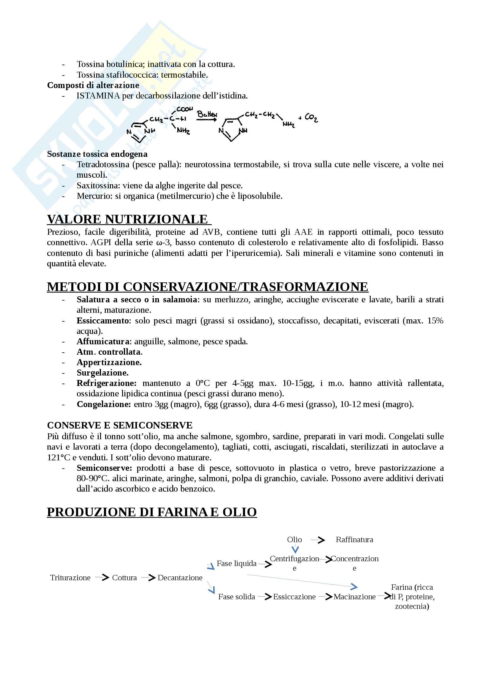Trasformazioni molecolari - Appunti Pag. 91