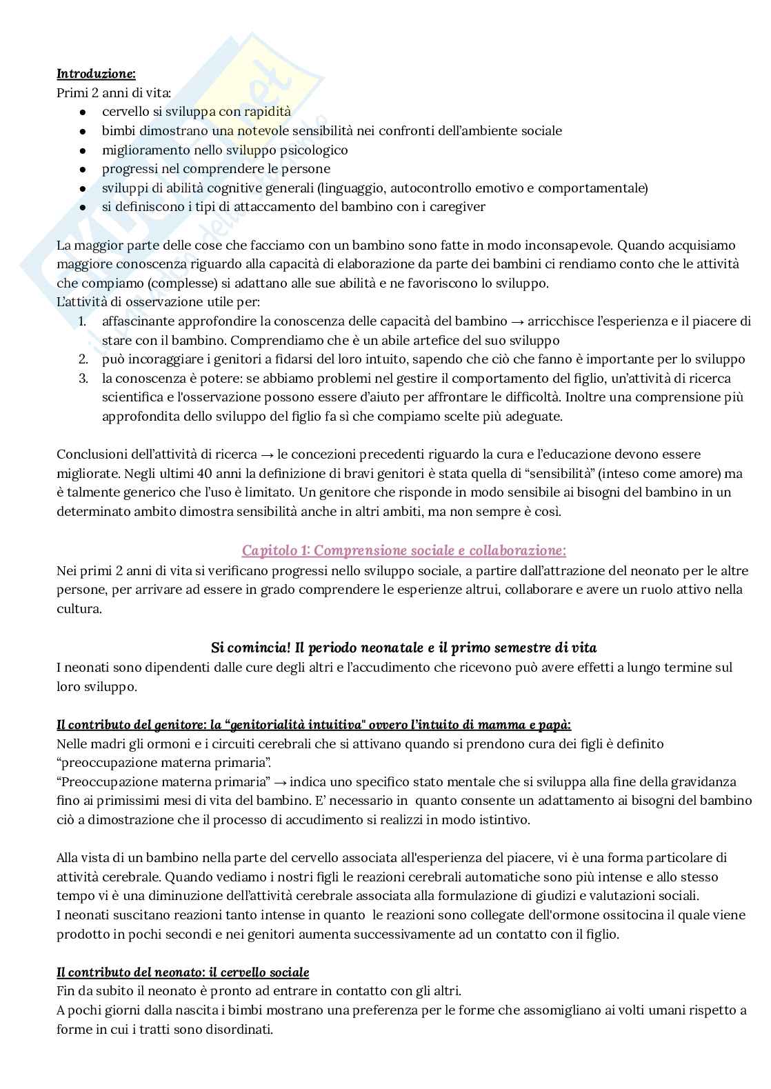 Riassunto esame Psicologia dello sviluppo e dell'educazione, Prof. Florit Elena, libro consigliato Le prime relazioni del bambino, Lynne Murray Pag. 2
