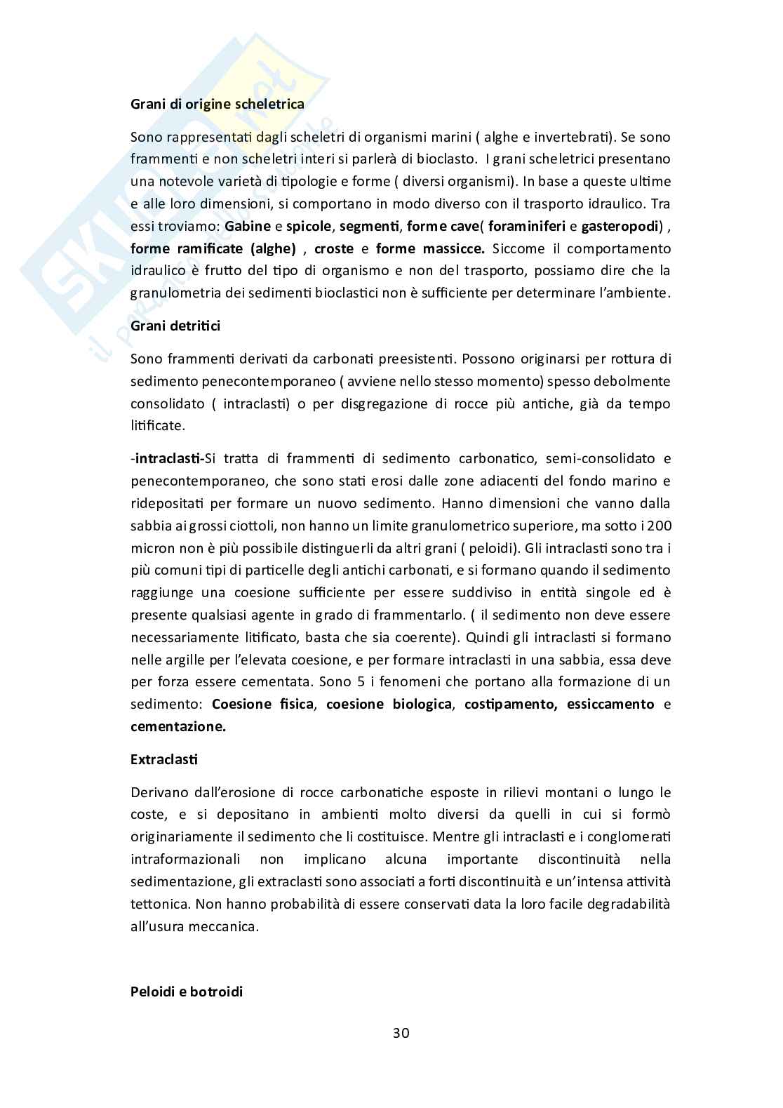 Stratigrafia e sedimentologia Pag. 31