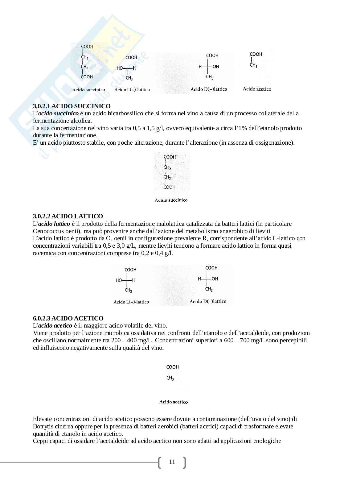 Analisi enochimiche Pag. 11