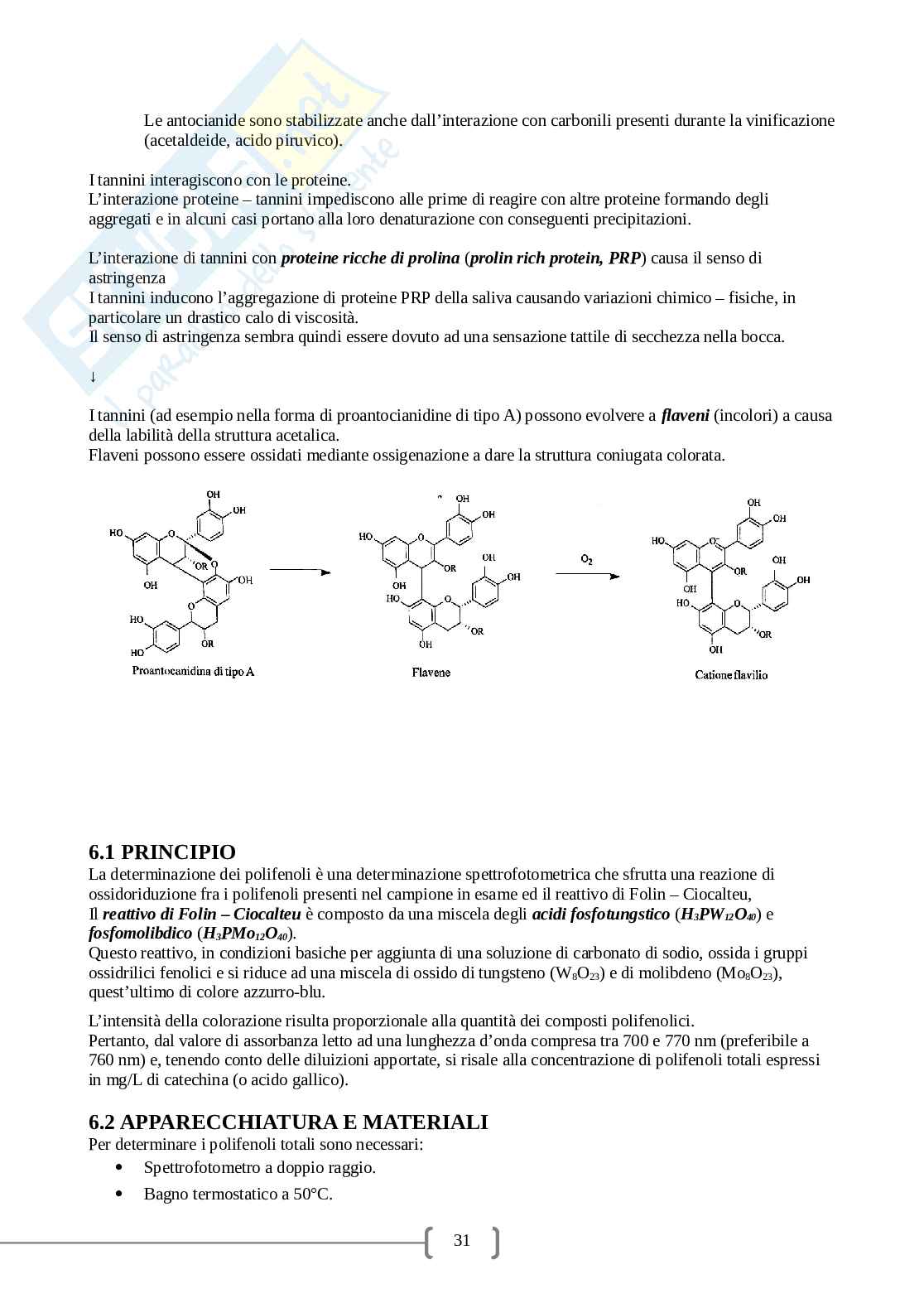Analisi enochimiche Pag. 31