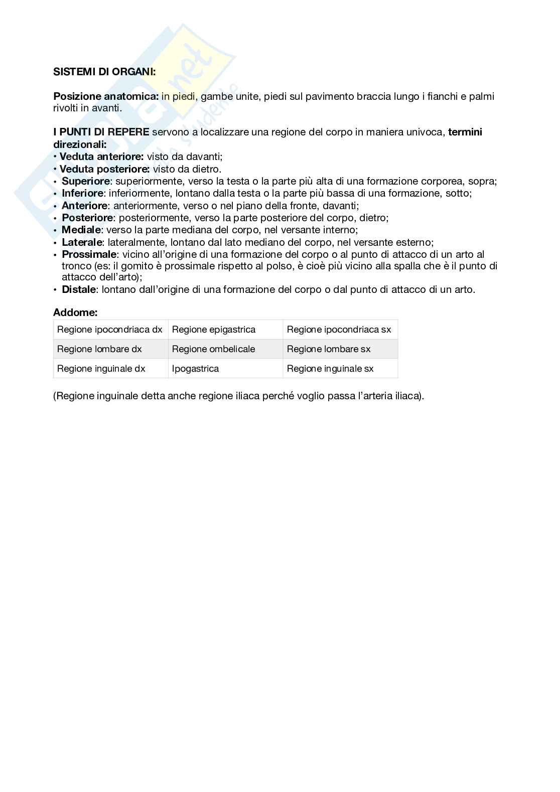 Elementi di anatomia umana Pag. 2