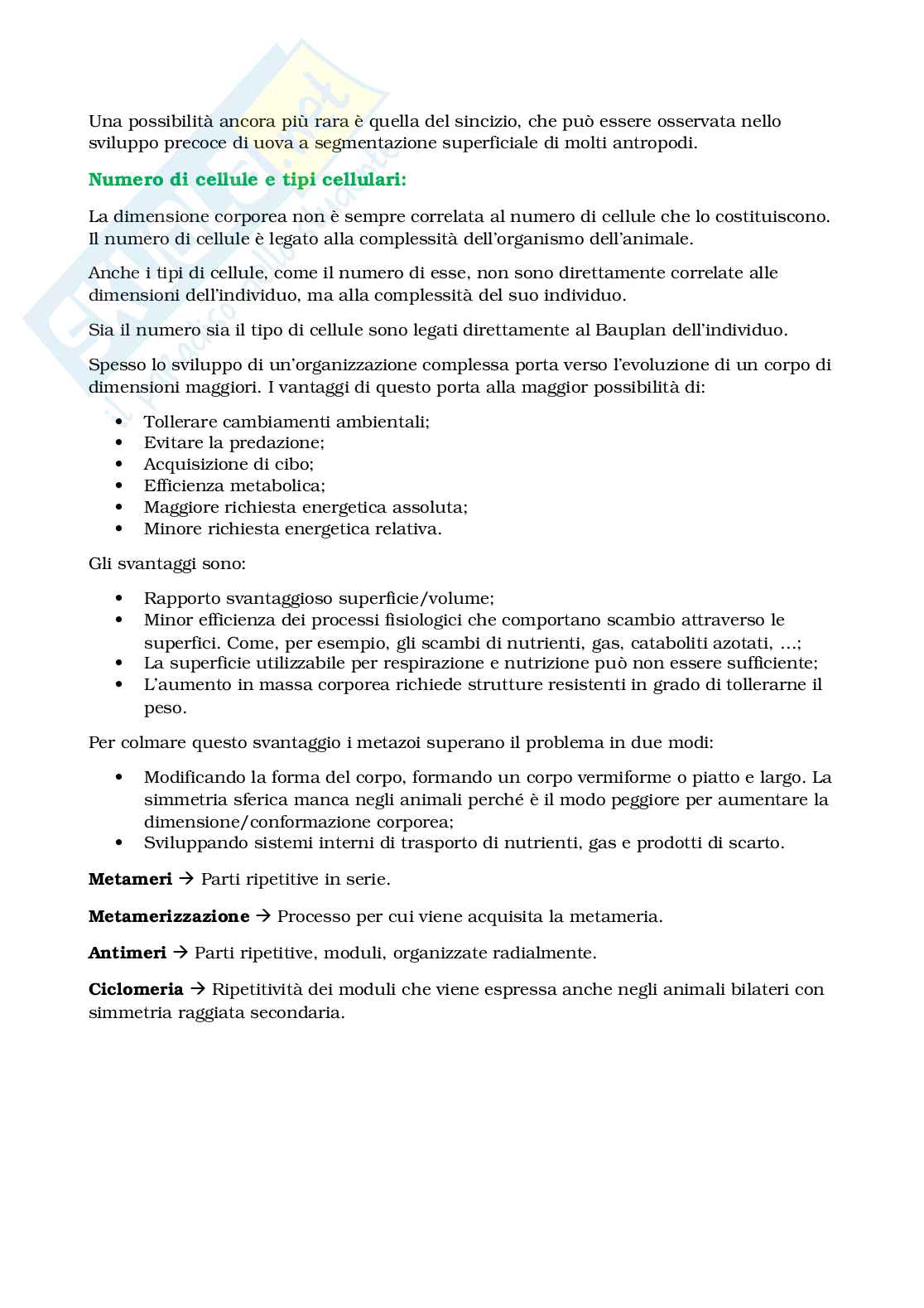 Appunti Biologia e sistematica animale Pag. 11