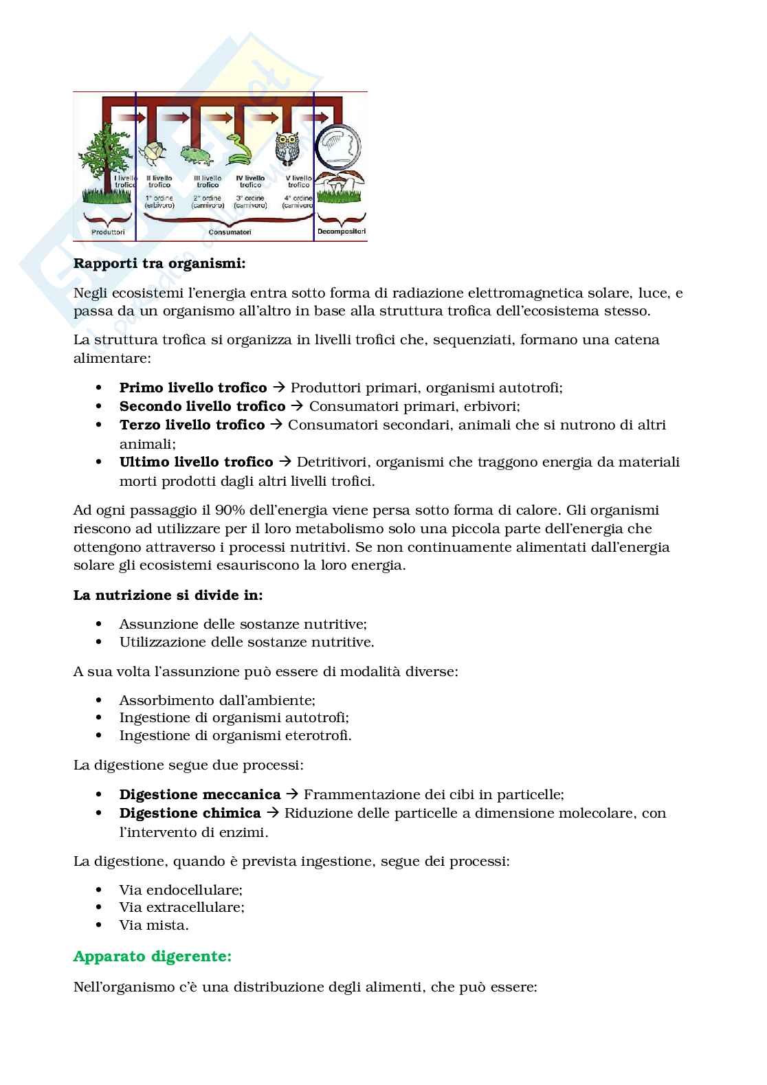Appunti Biologia e sistematica animale Pag. 16