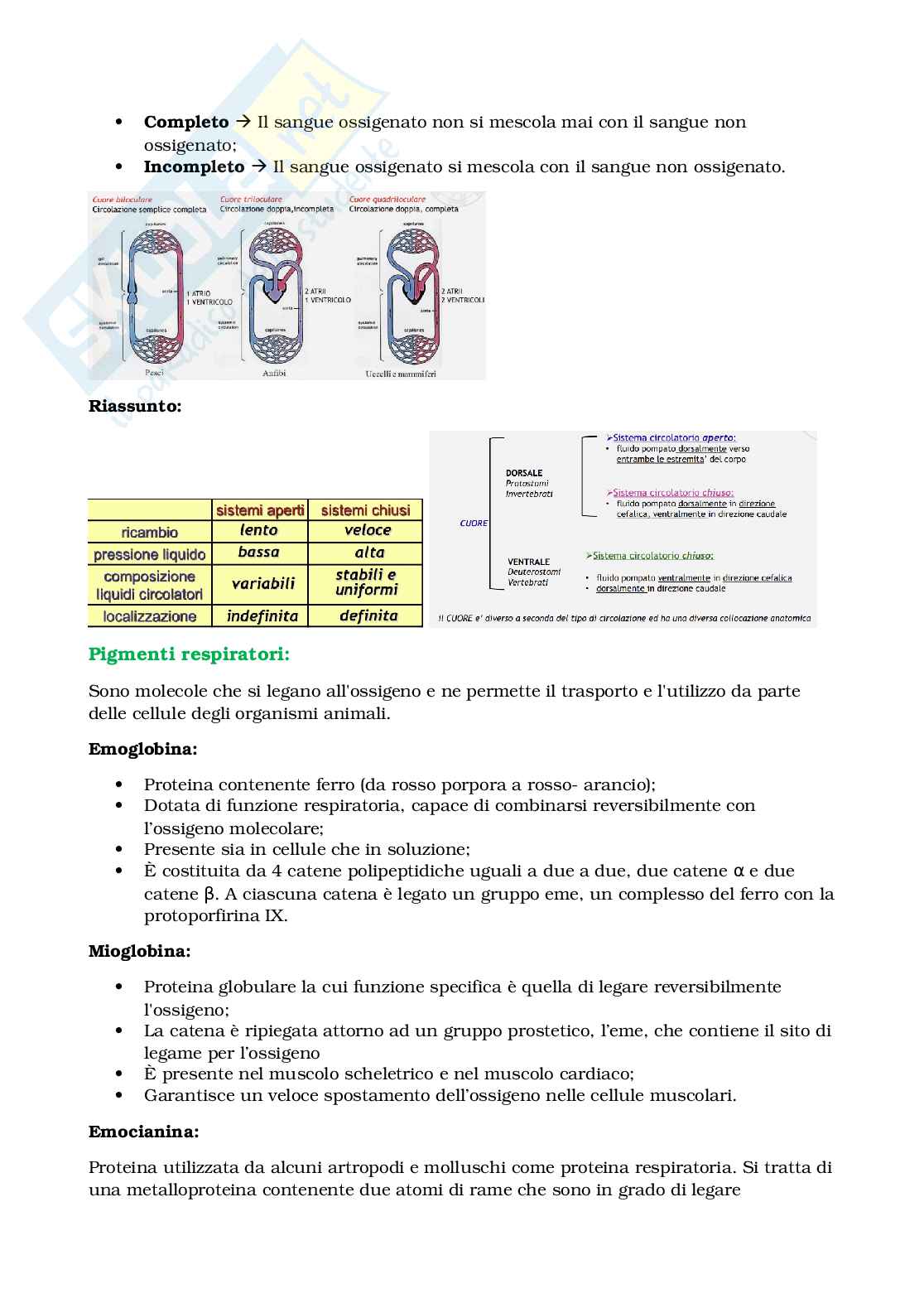 Appunti Biologia e sistematica animale Pag. 26