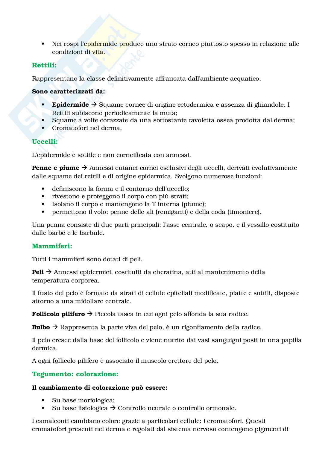 Appunti Biologia e sistematica animale Pag. 36