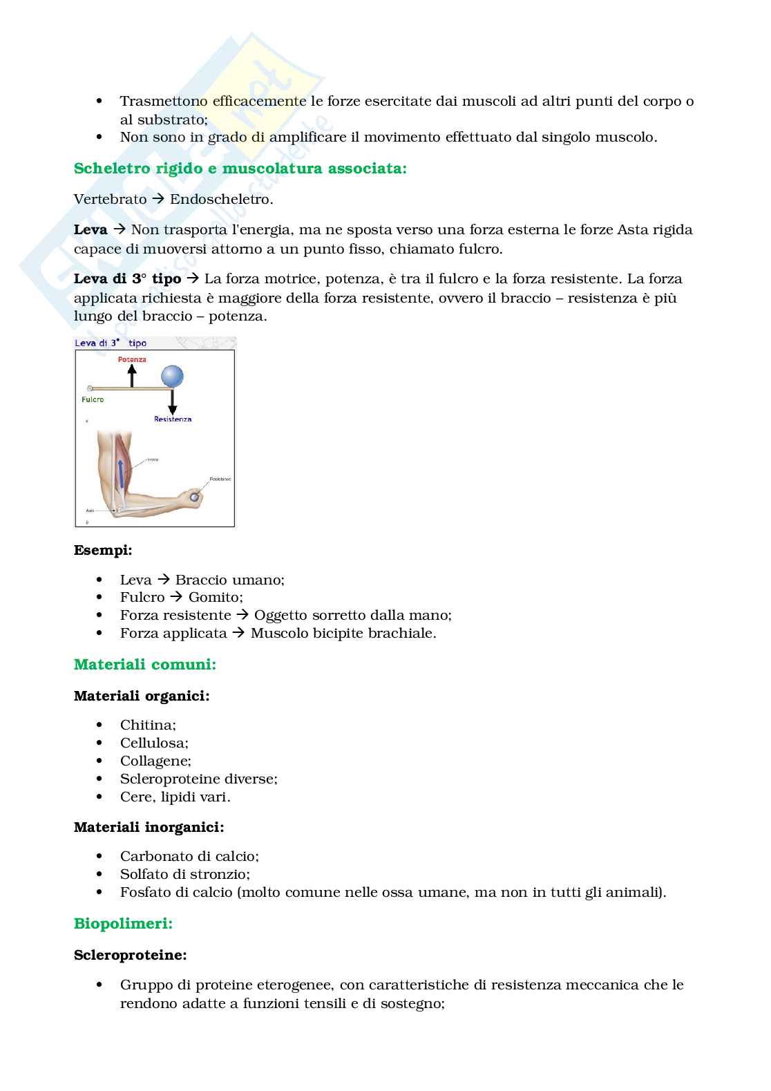 Appunti Biologia e sistematica animale Pag. 41