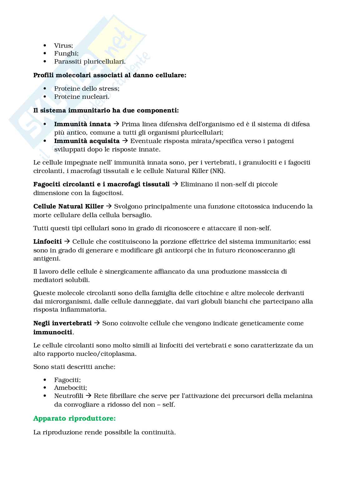 Appunti Biologia e sistematica animale Pag. 66