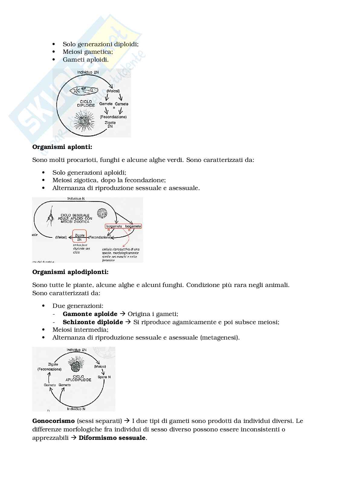 Appunti Biologia e sistematica animale Pag. 71