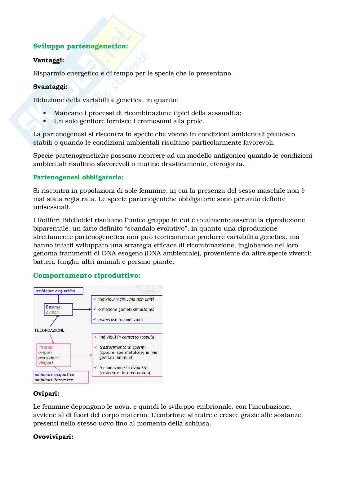 Appunti Biologia e sistematica animale Pag. 76