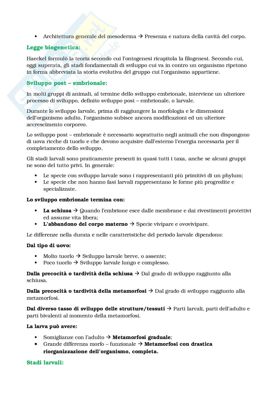 Appunti Biologia e sistematica animale Pag. 81