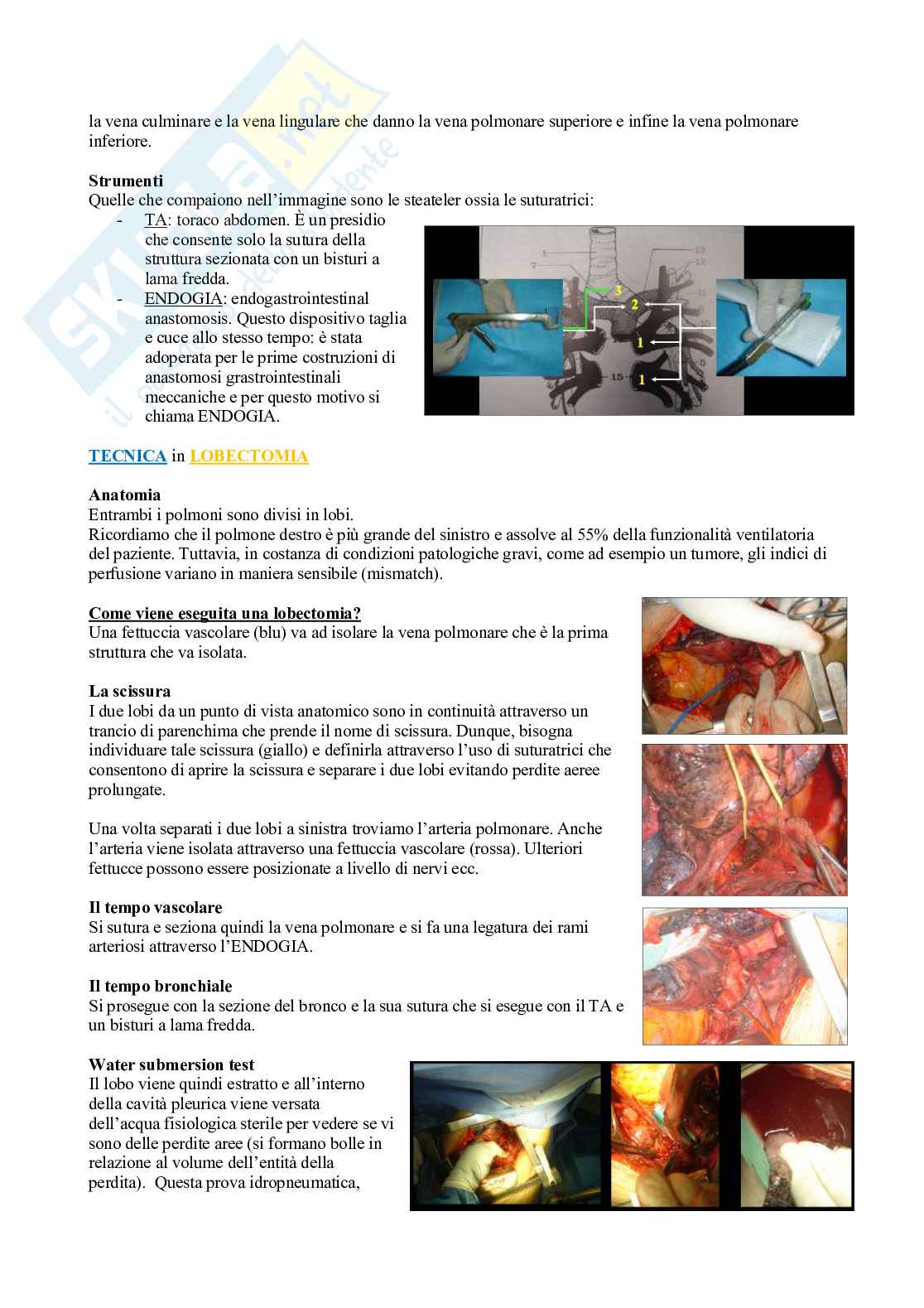 Fisioterapia e professioni sanitarie - Appunti di chirurgia toracica Pag. 21