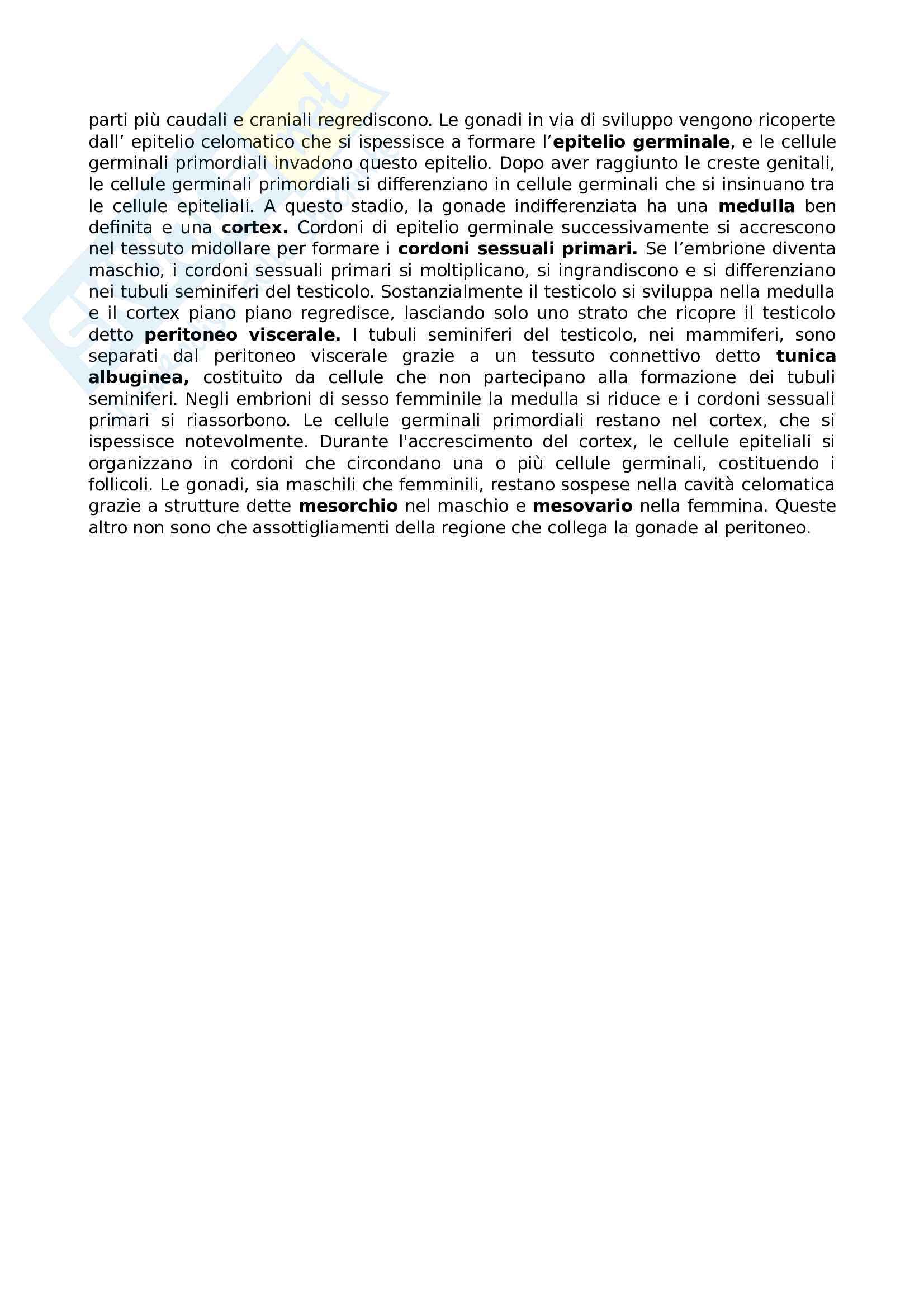 1a. Sviluppo embrionale delle gonadi Pag. 6
