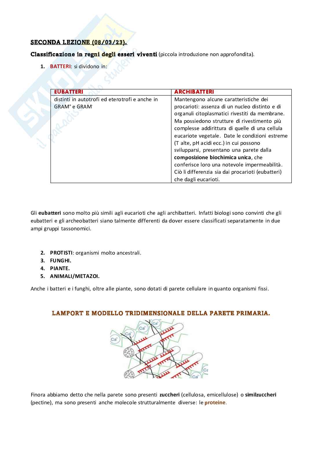 Appunti per l'esame di Botanica Pag. 1