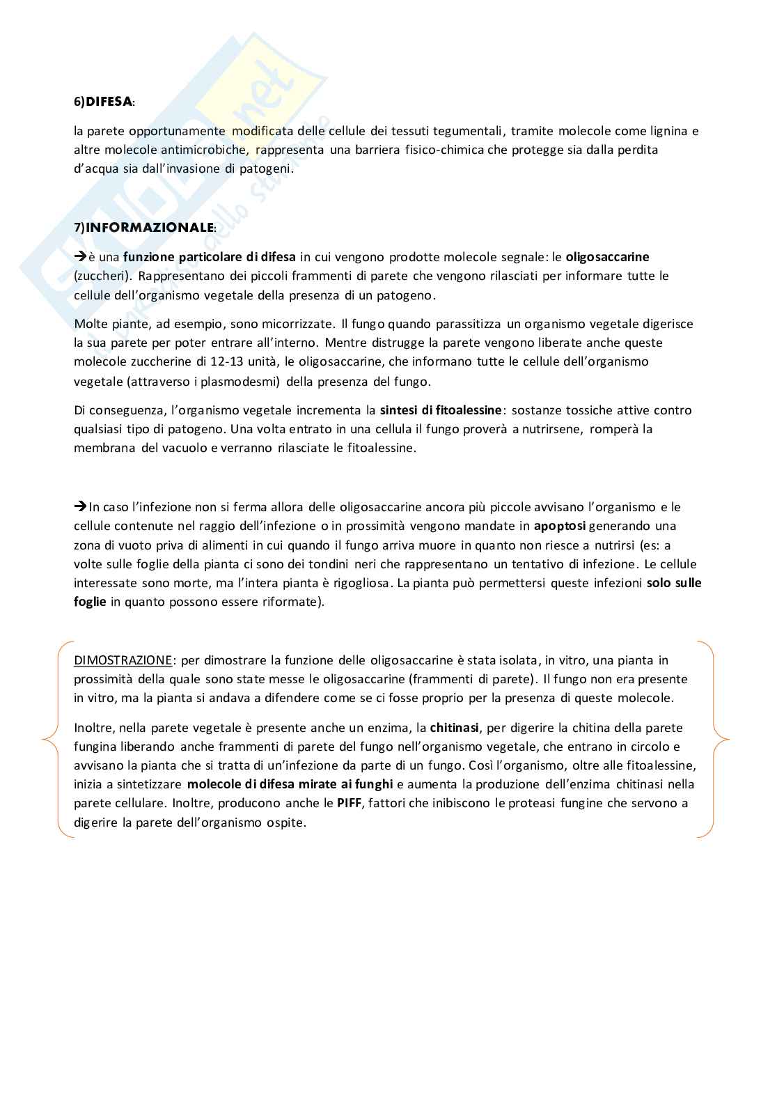 Appunti per l'esame di Botanica Pag. 6