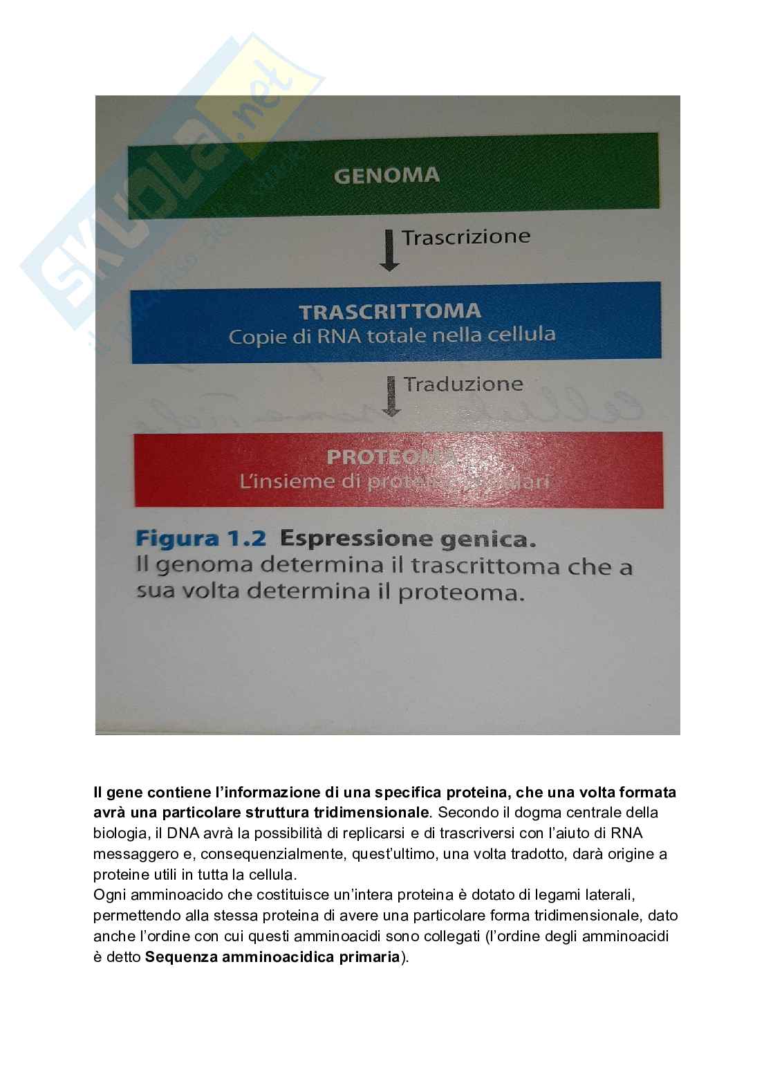 Biologia Molecolare e Metodiche del DNA ricombinante Pag. 2