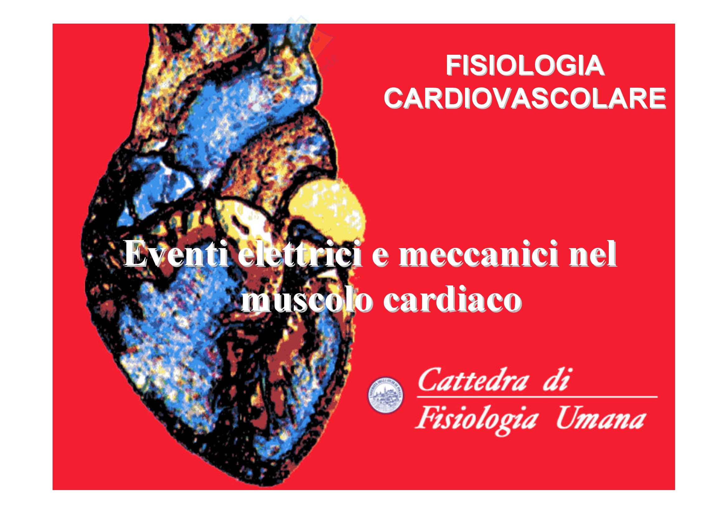 Fisiologia umana I - cuore Pag. 1