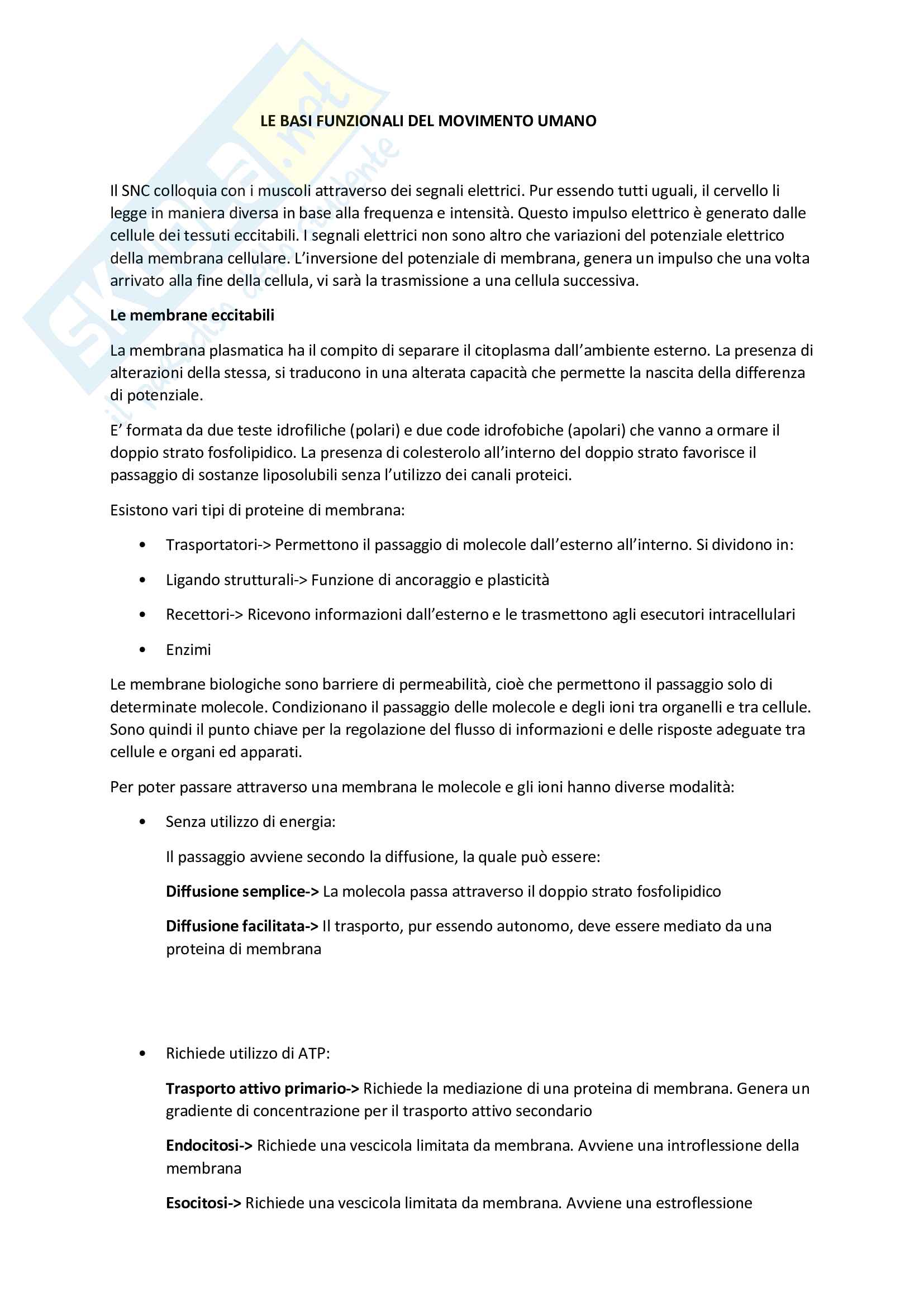 Le basi funzionali del movimento umano Pag. 1
