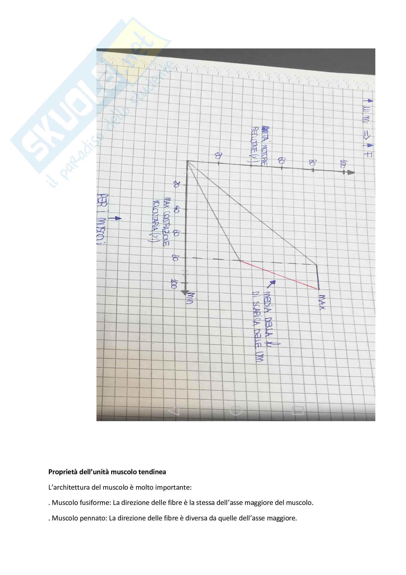 Le basi funzionali del movimento umano Pag. 21