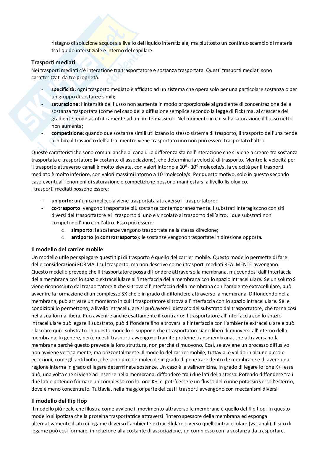 Appunti di Fisiologia generale Pag. 26