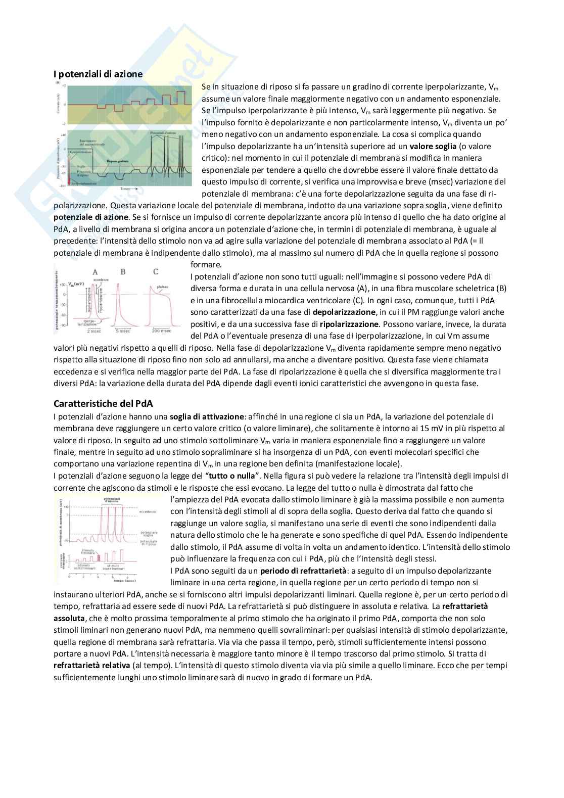 Appunti di Fisiologia generale Pag. 41