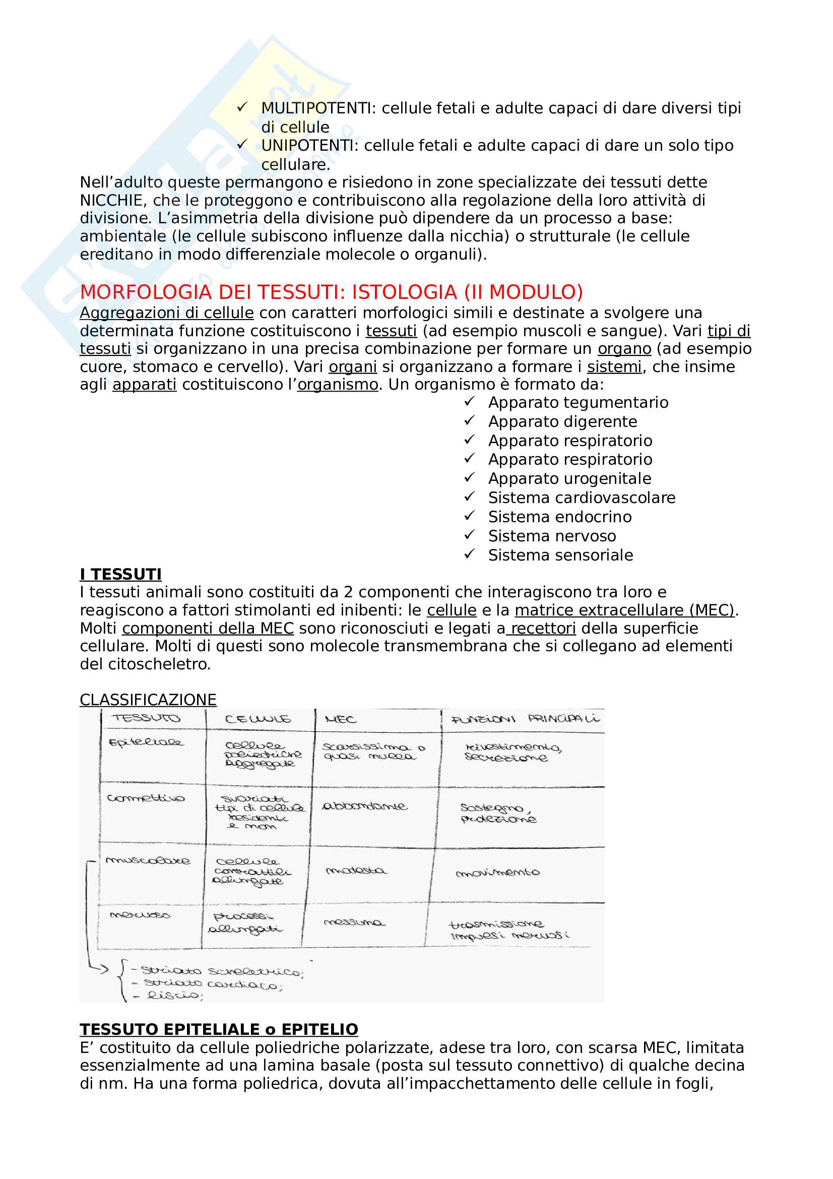 Morfologia, embriologia e biologia cellulare Pag. 11