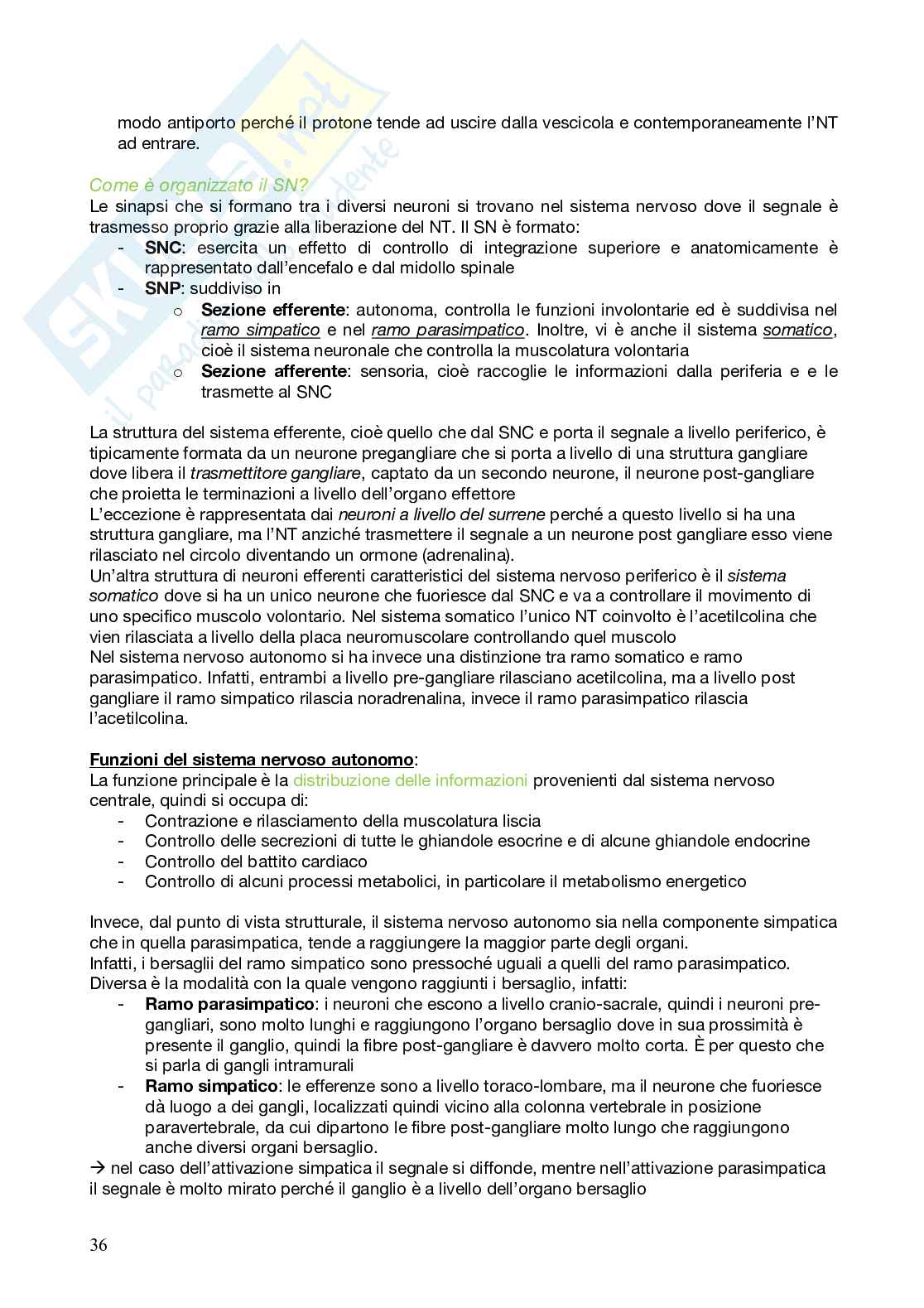 Farmacognosia Pag. 36