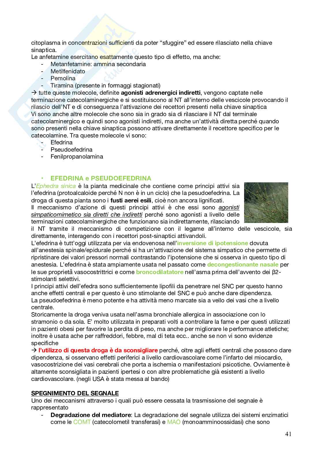 Farmacognosia Pag. 41