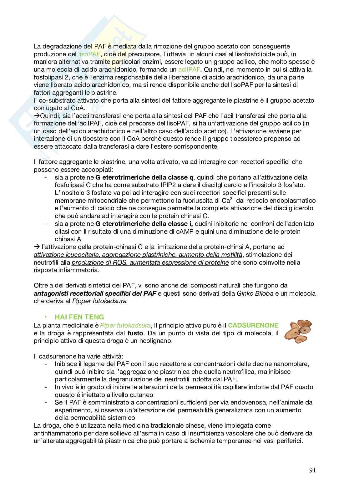 Farmacognosia Pag. 91