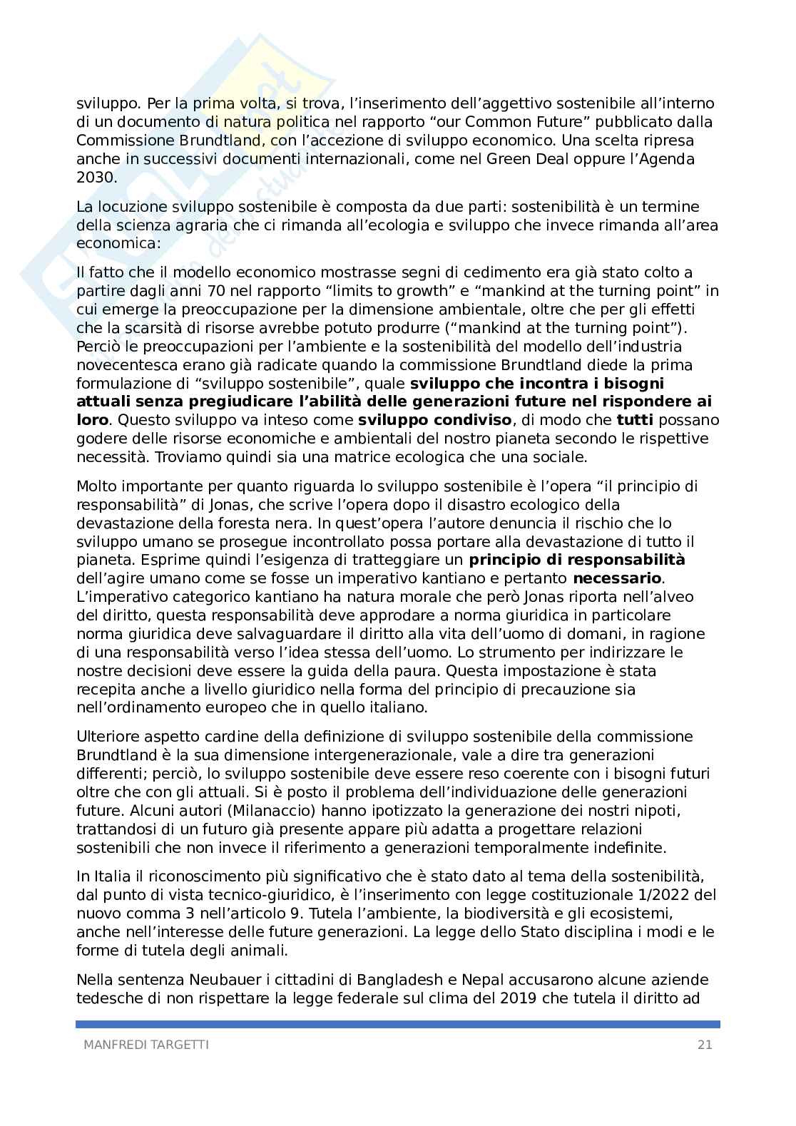 Riassunto esame Filosofia del diritto, Prof. Farano Alessia, libro consigliato Parole del diritto, Punzi Pag. 21