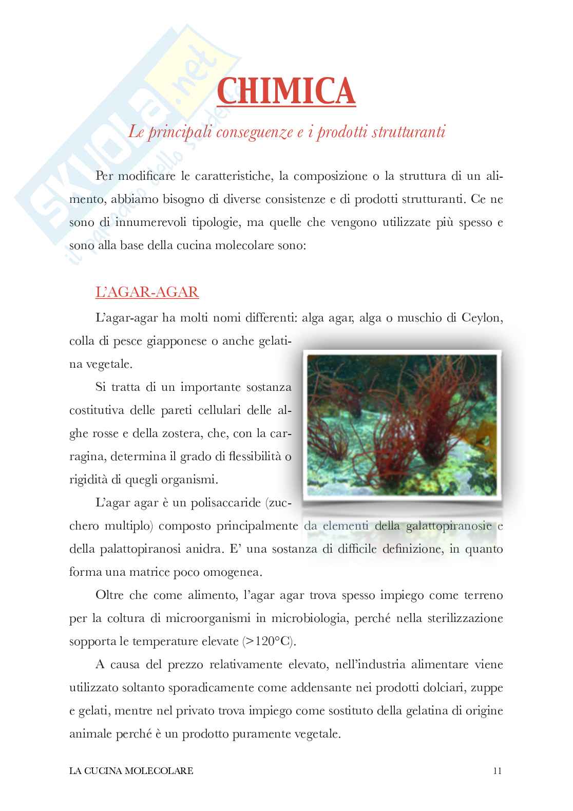 Cucina molecolare, tesina Pag. 11