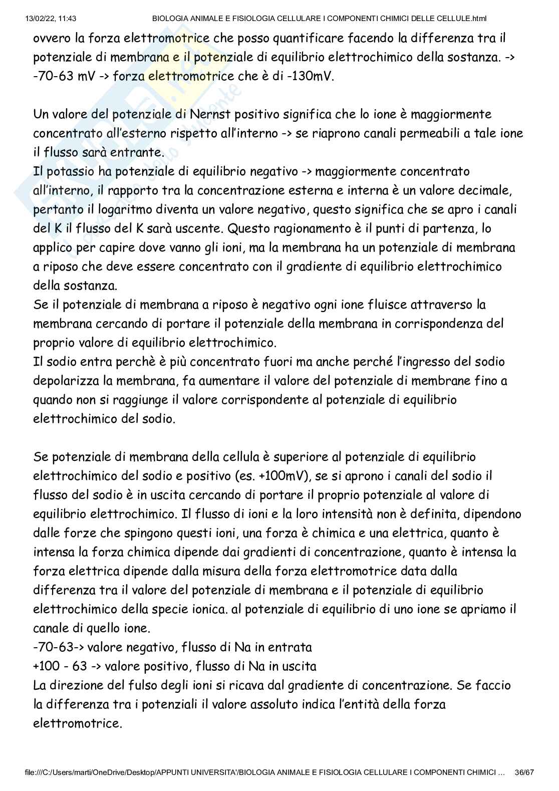 Biologia animale e fisiologia cellulare Pag. 36