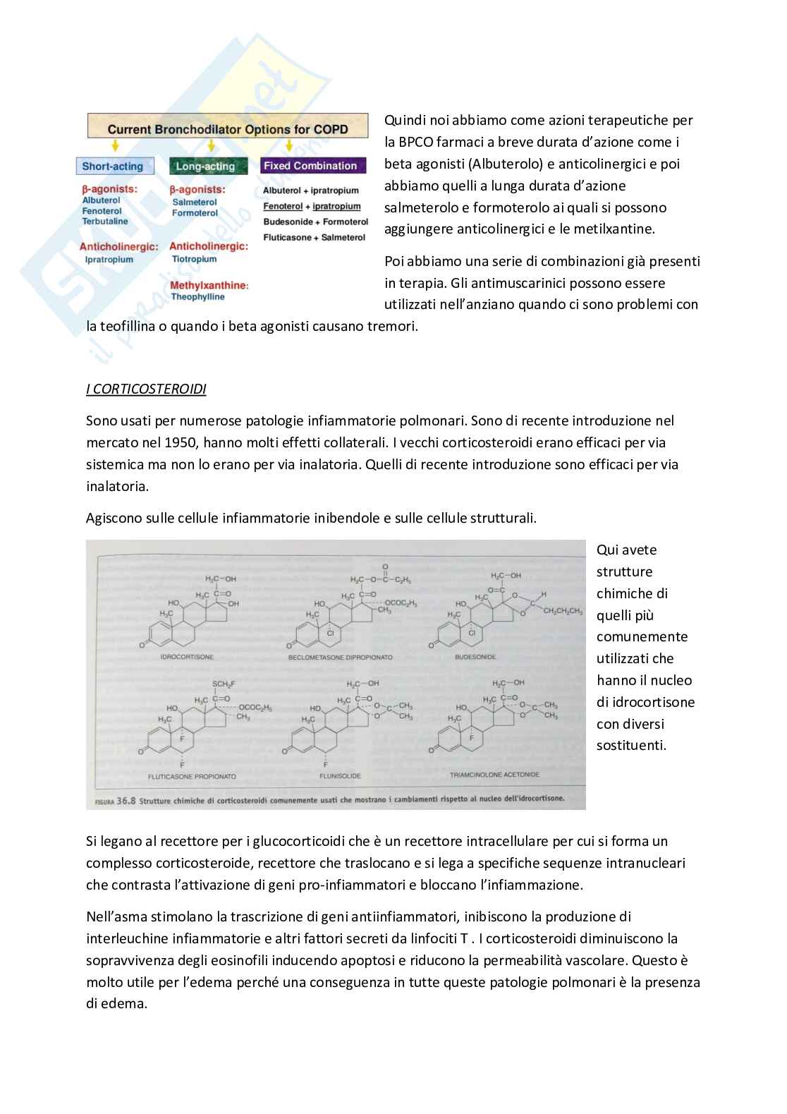 Esame di Farmacoterapia 1 - parte 6 Pag. 2