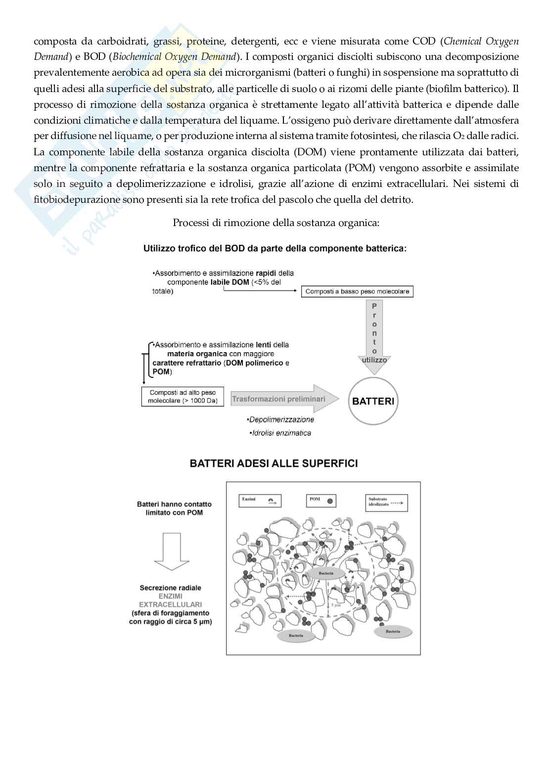 Ecotecnologie per il risanamento delle acque reflue Pag. 11