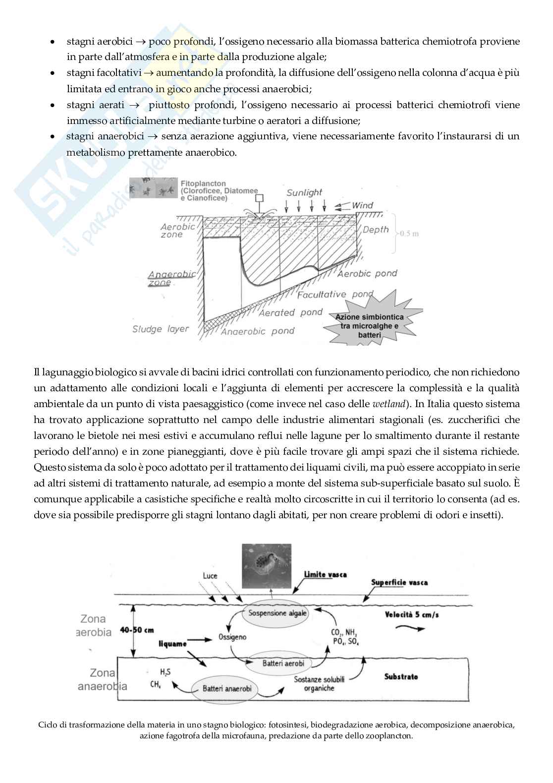 Ecotecnologie per il risanamento delle acque reflue Pag. 16