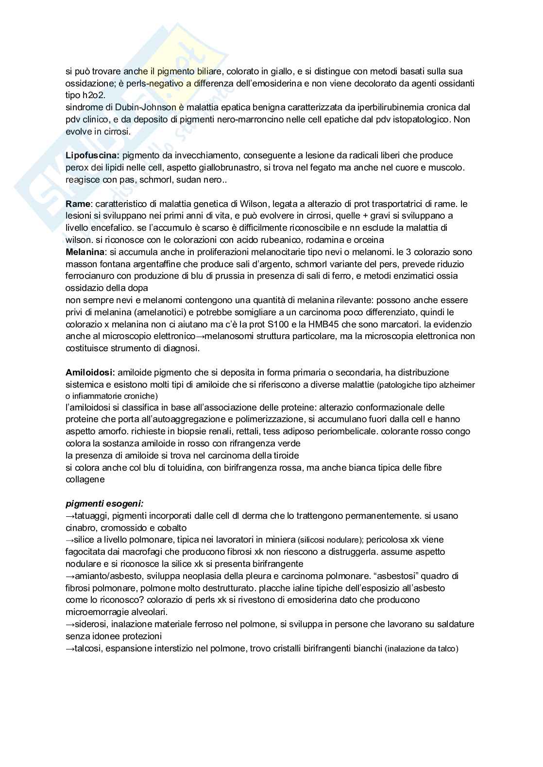 Anatomia patologica Pag. 11