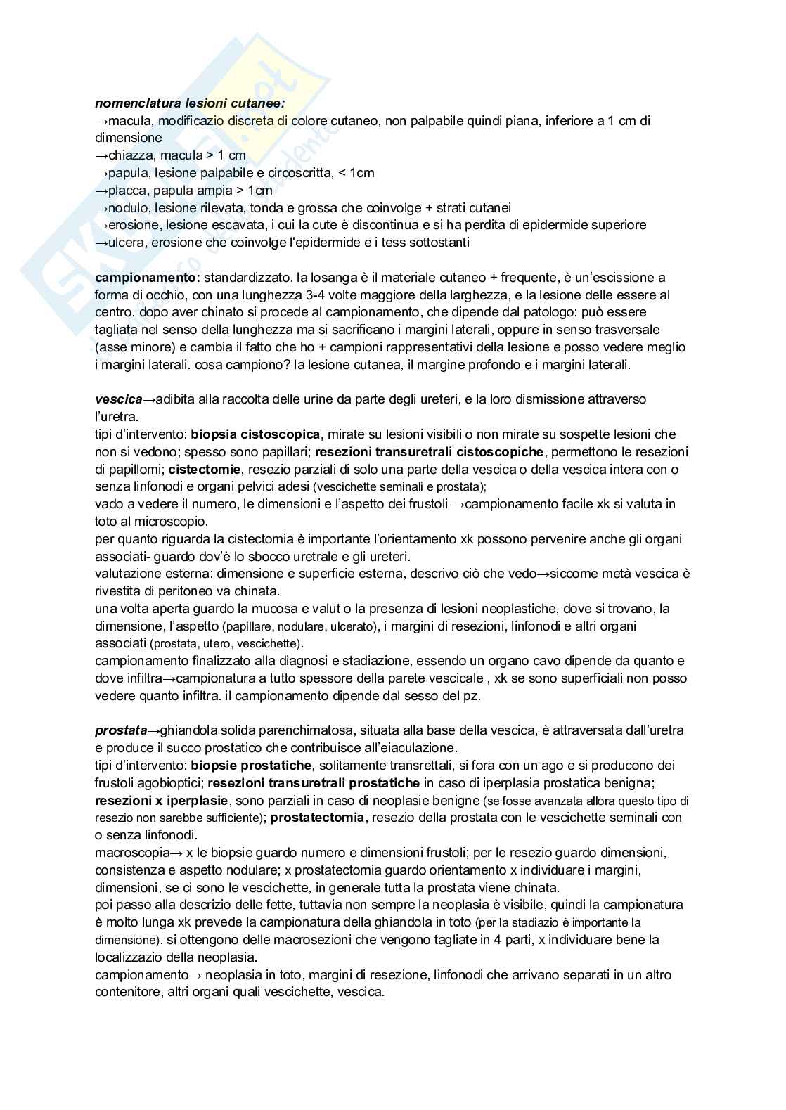 Anatomia patologica Pag. 21