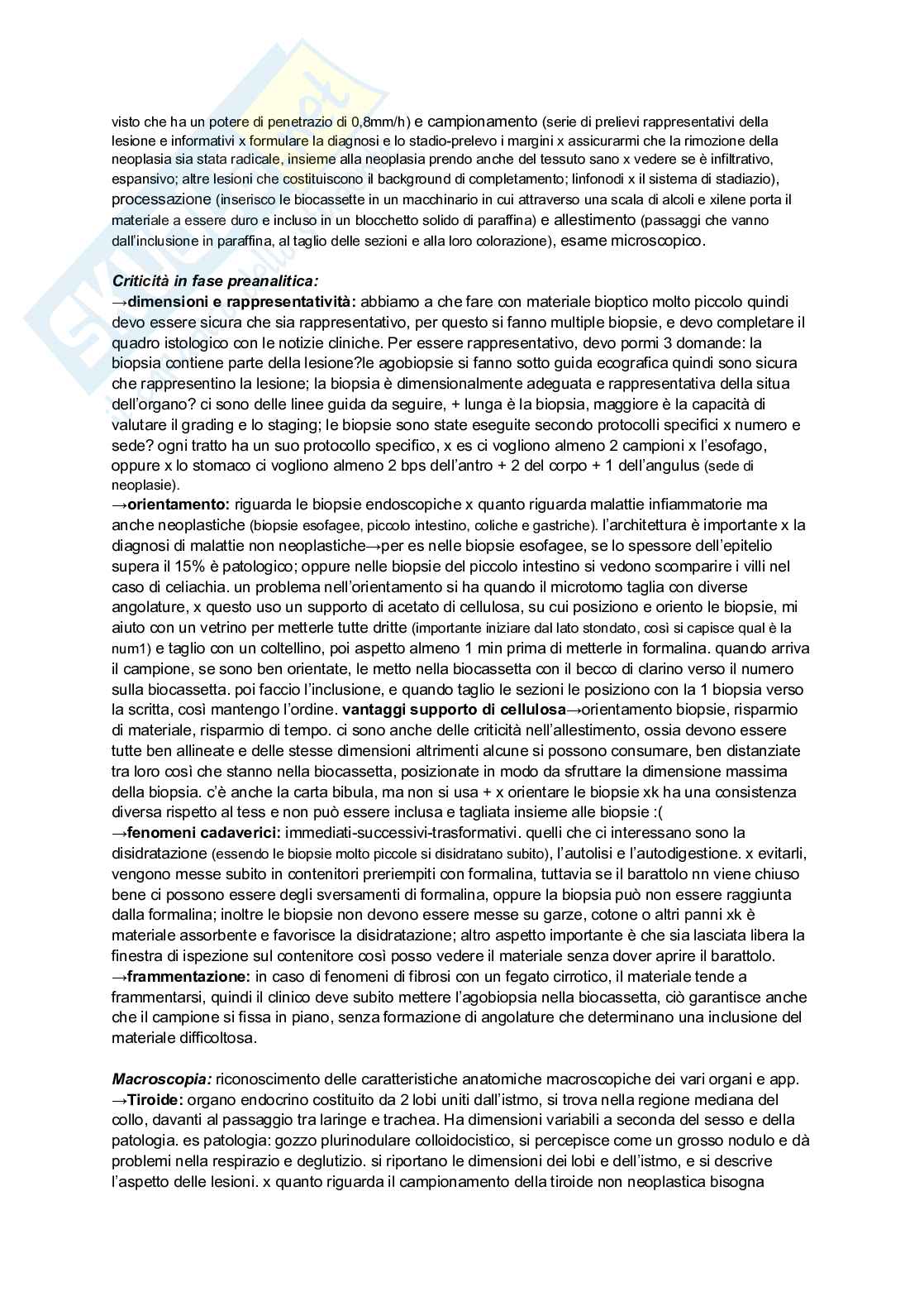 Anatomia patologica Pag. 26