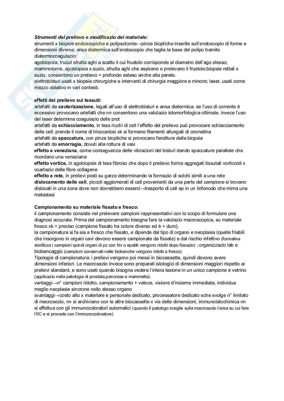 Anatomia patologica Pag. 31
