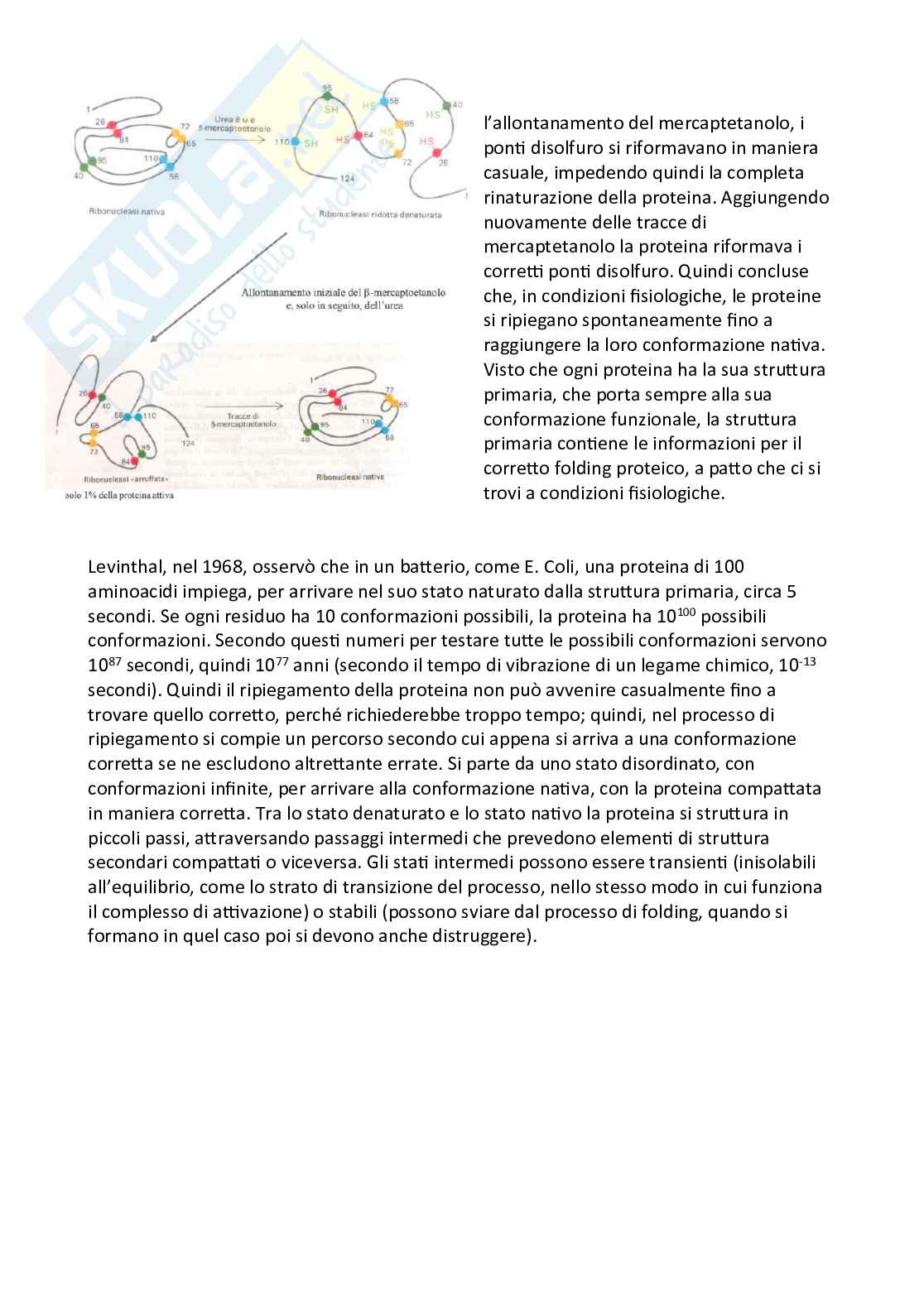 Appunti di Biochimica per medicina e chirurgia Pag. 11