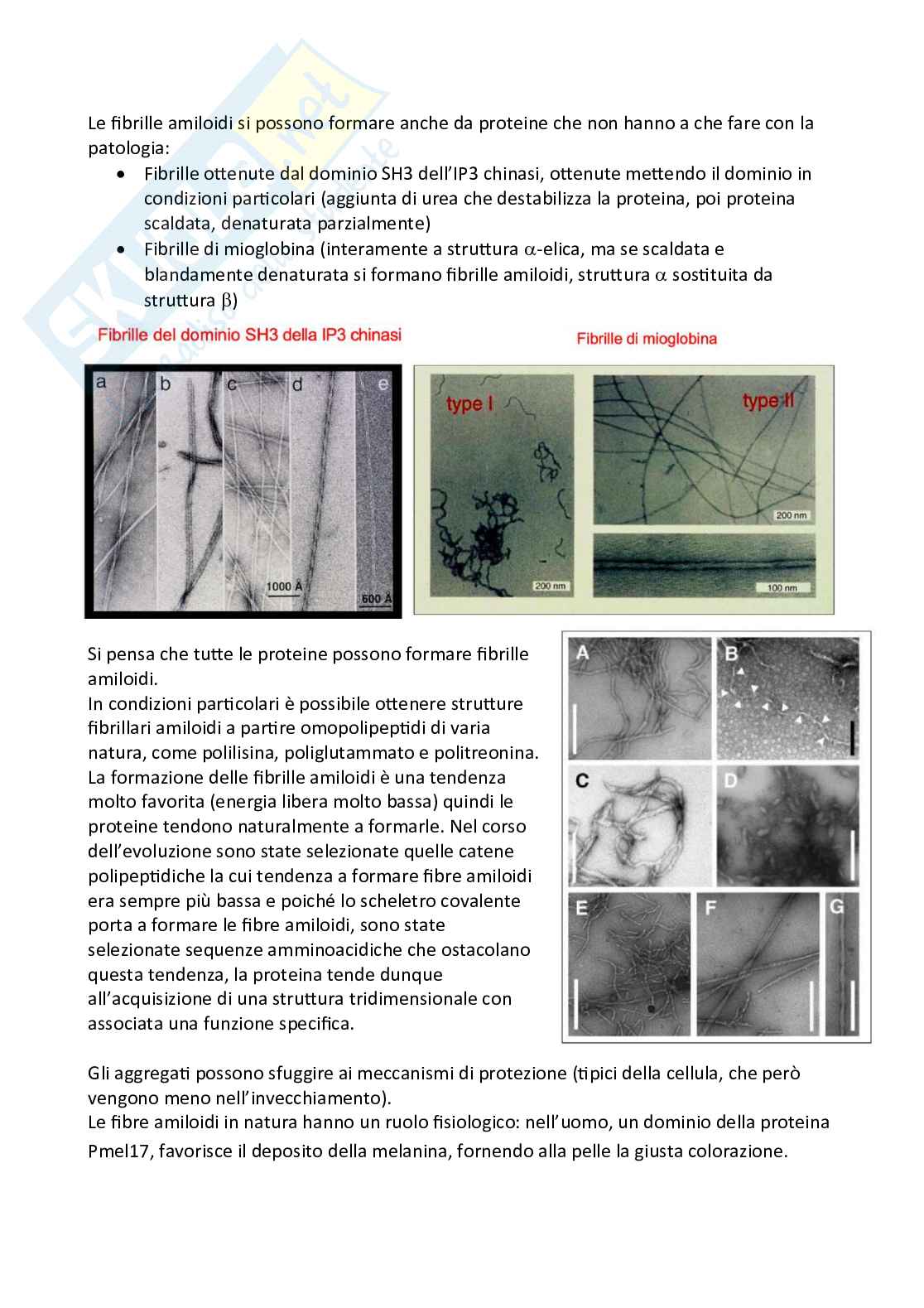 Appunti di Biochimica per medicina e chirurgia Pag. 21