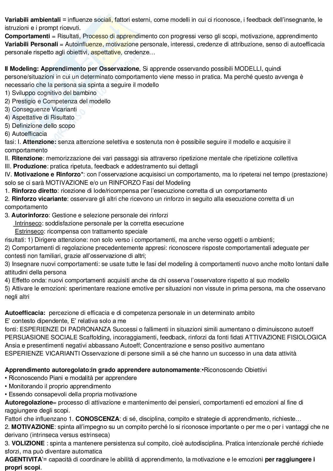 Appunti discorsivi e schematici di Psicologia dello sviluppo Pag. 16