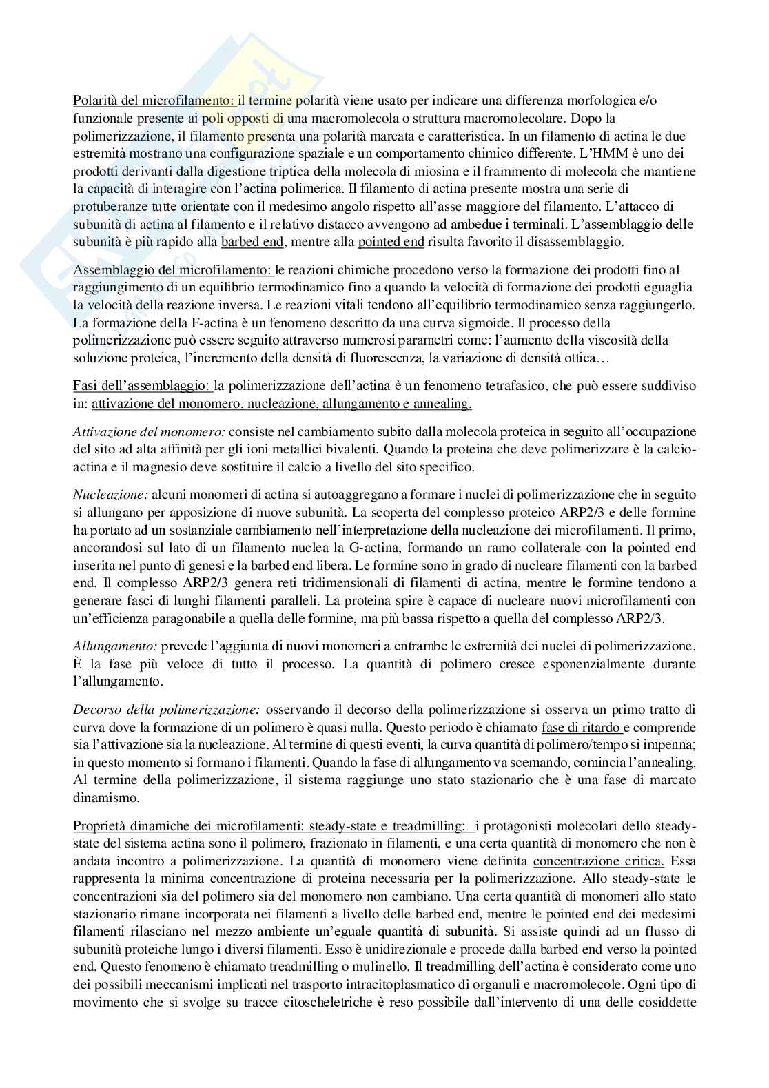 Citoscheletro e motilita cellulare Pag. 2