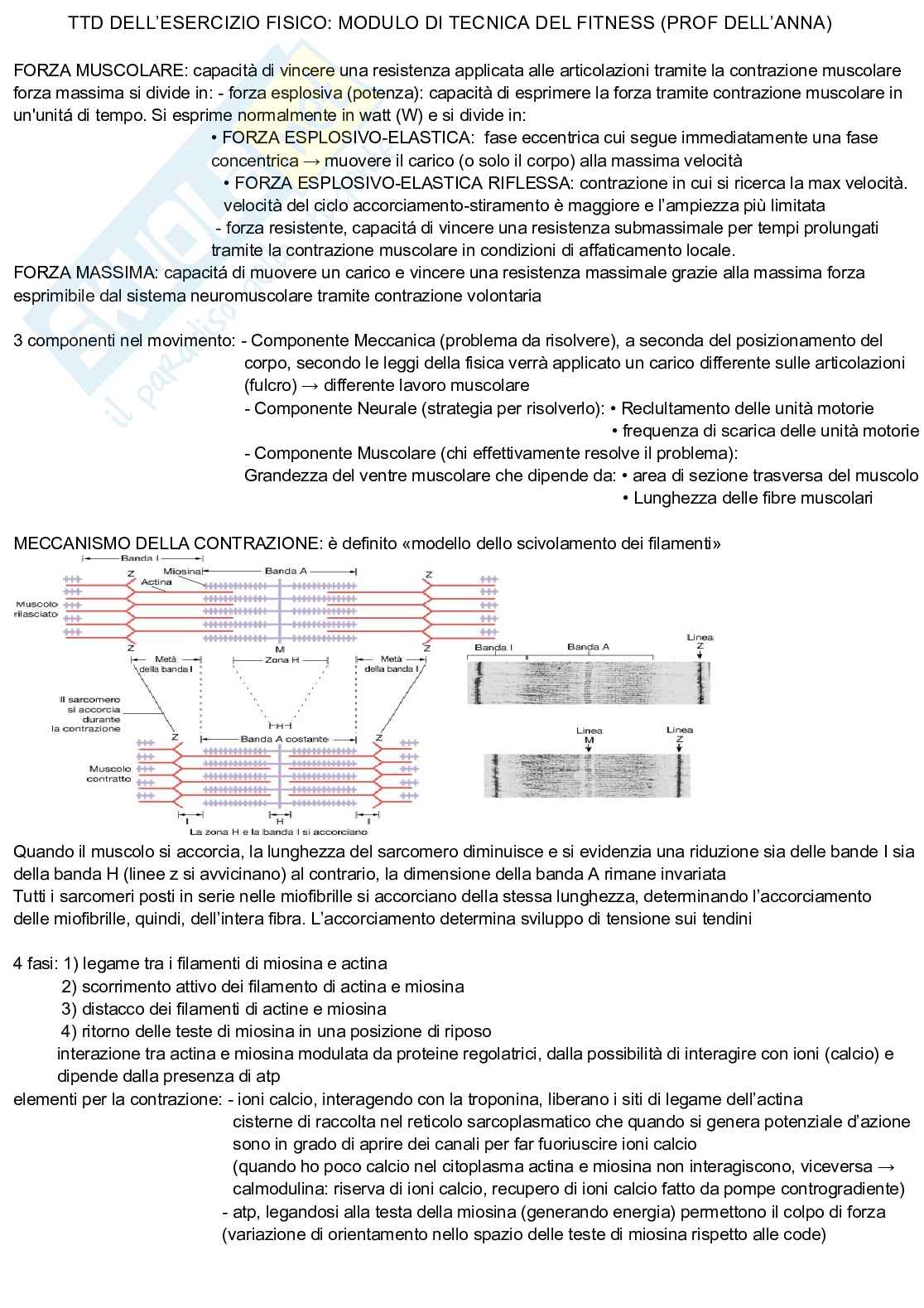 Appunti discorsivi e schematici di TTD modulo fitness - triennale scienze motorie - primo anno - Prof Gemelli - anno 2022-2023. Pag. 1