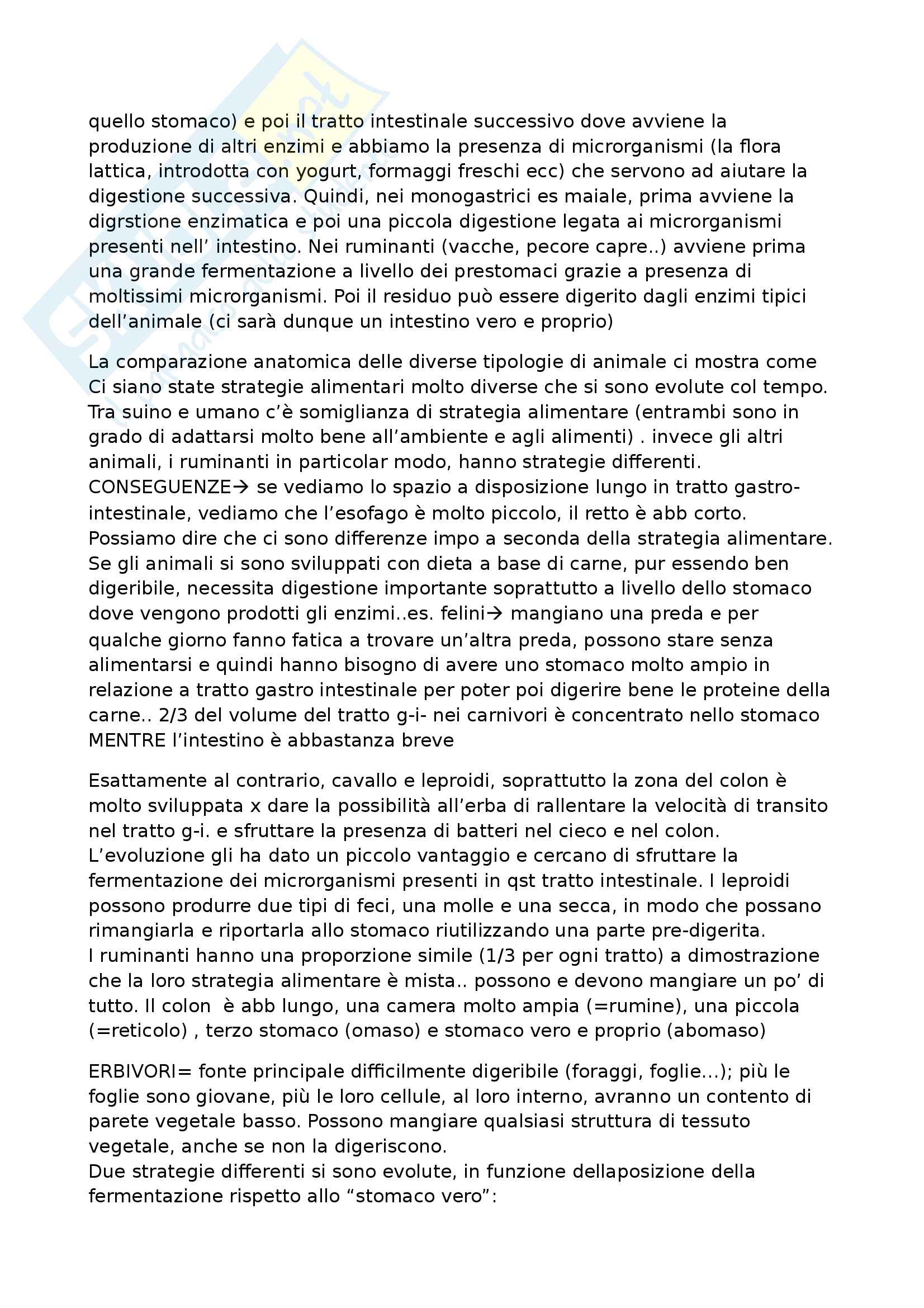 Biologia animale Pag. 21