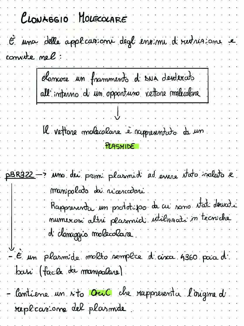 Appunti di Biologia molecolare sul clonaggio molecolare Pag. 1