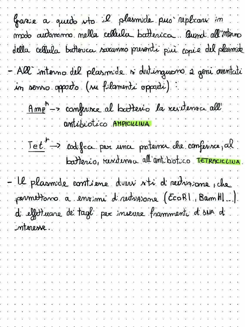 Appunti di Biologia molecolare sul clonaggio molecolare Pag. 2