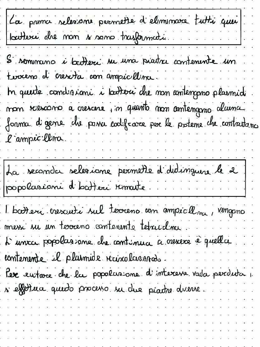 Appunti di Biologia molecolare sul clonaggio molecolare Pag. 6