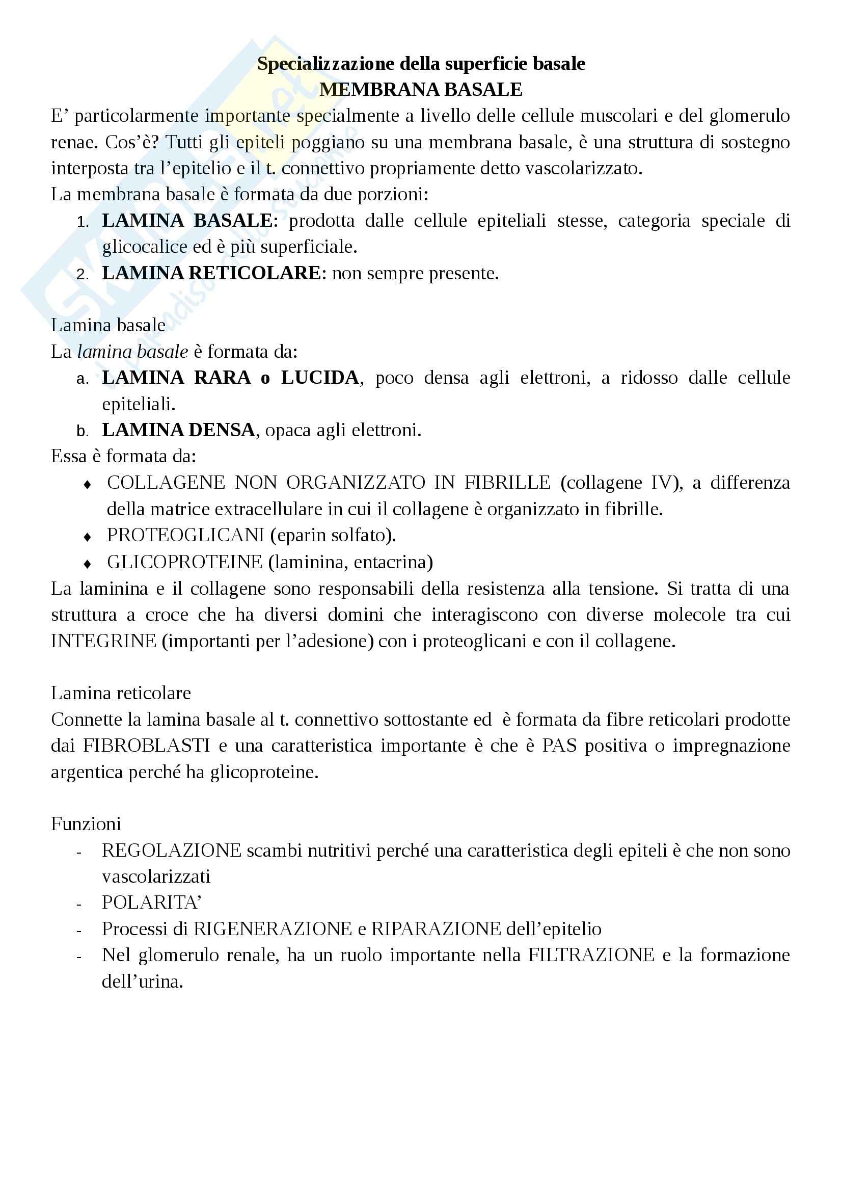 Membrana basale Pag. 1